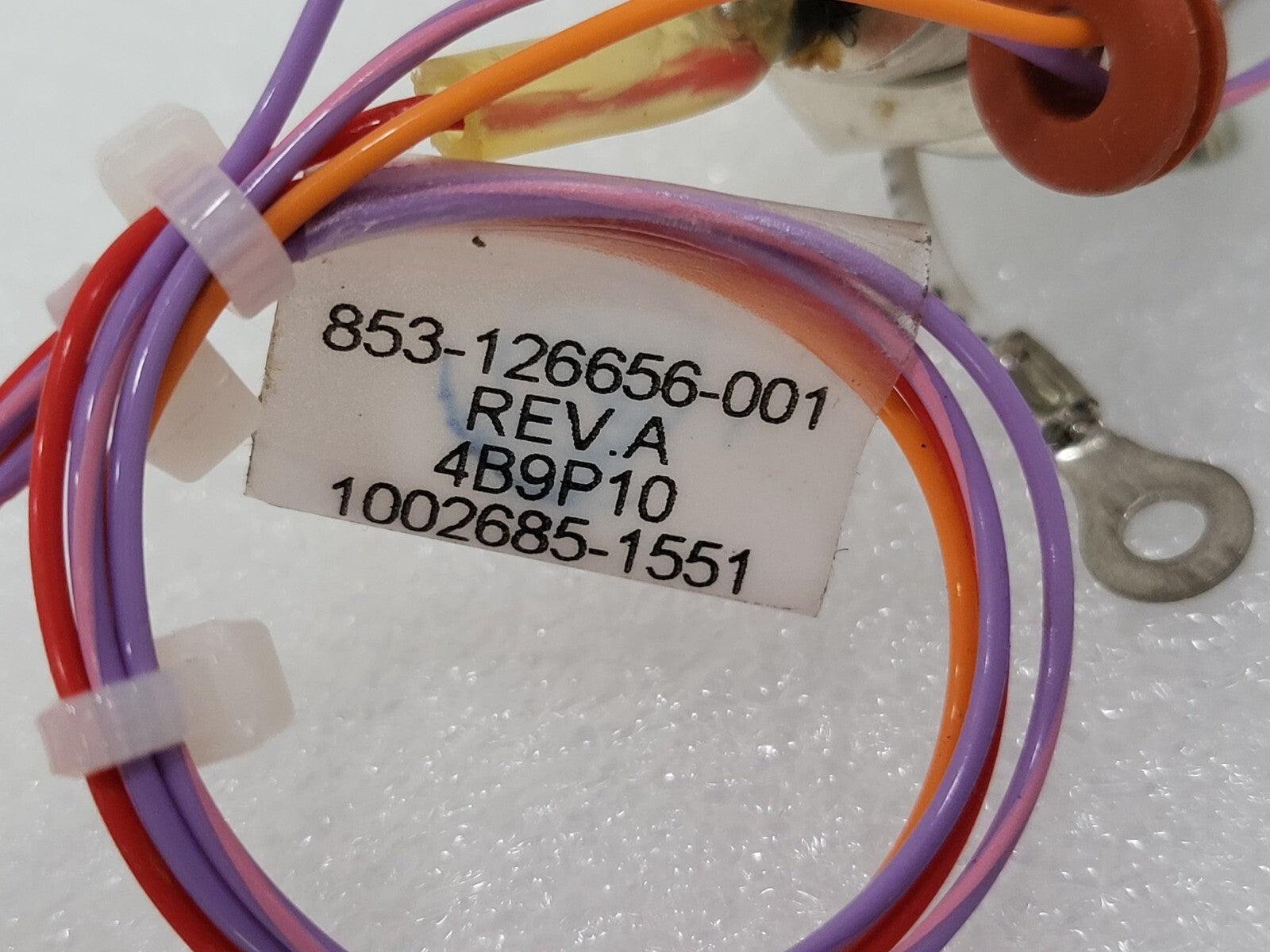 7287418