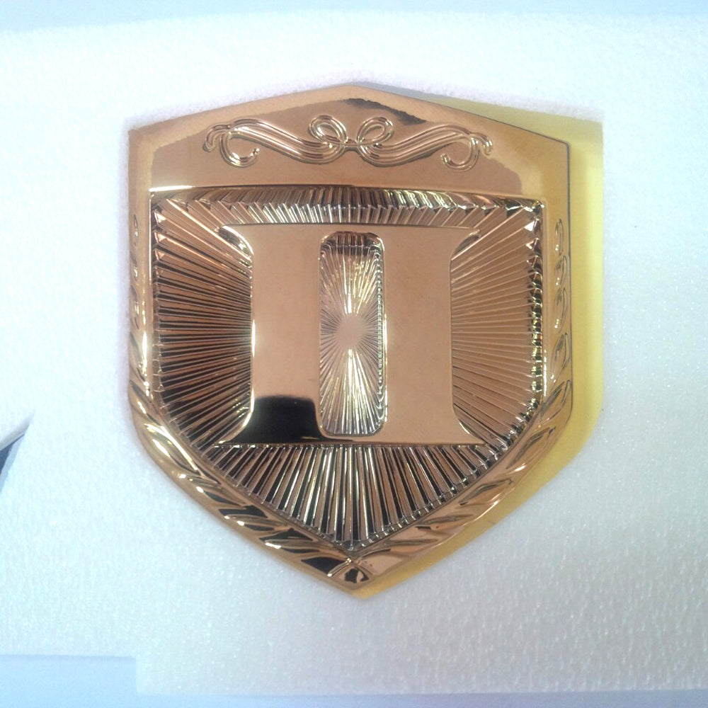 0K53A51741A Rear Trunk CARNIVAL Ⅱ Logo Emblem For 2002 2005 Kia Sedona Carnival