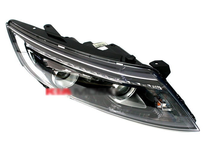 6491691
